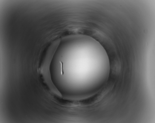 X0000088890420200706151833