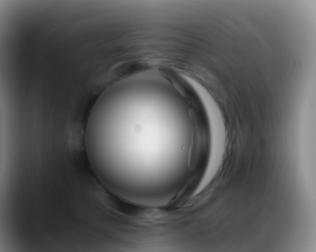 X0000088890421200706151833