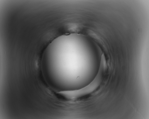 X0000088890424200706151833