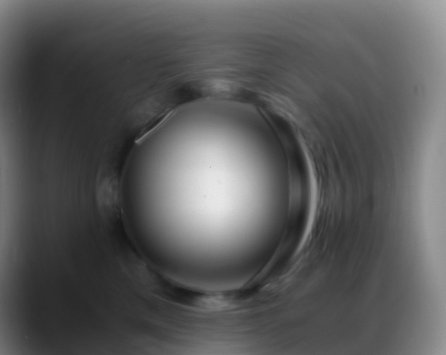 X0000088890425200706151833