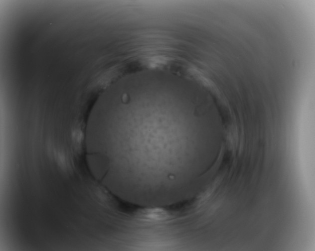 X0000088890427200706151833