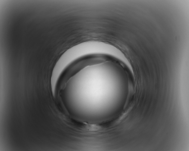 X0000088890429200706151833