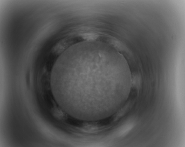 X0000088890431200706151833