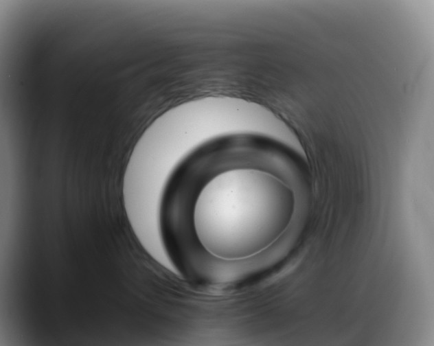 X0000088890432200706151833