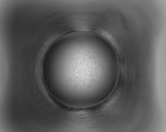 X0000088890433200706151832