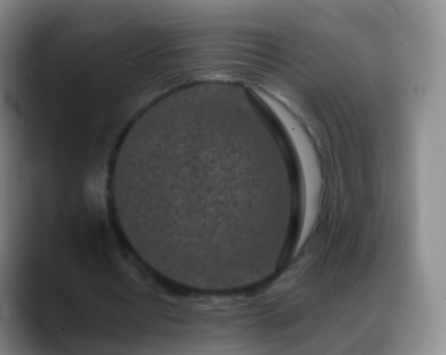 X0000088890434200706151832