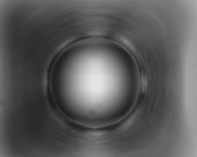 X0000088890435200706151832