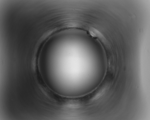 X0000088890436200706151832