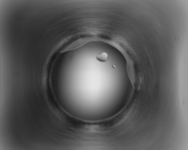 X0000088890440200706151832