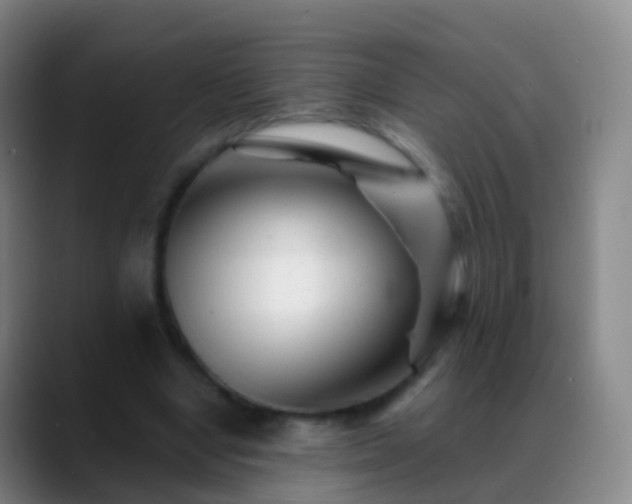 X0000088890442200706151832