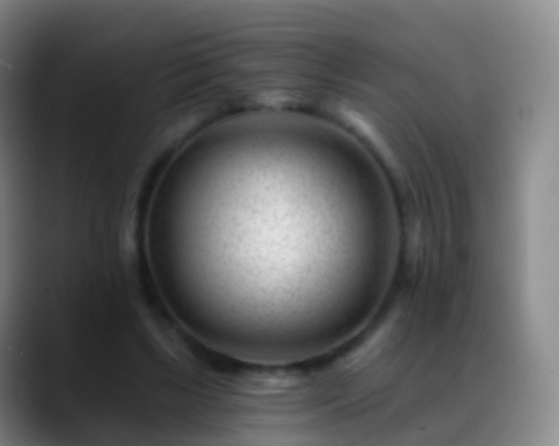 X0000088890443200706151832