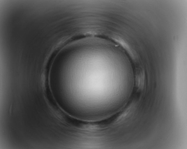 X0000088890444200706151832