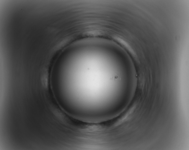 X0000088890446200706151832