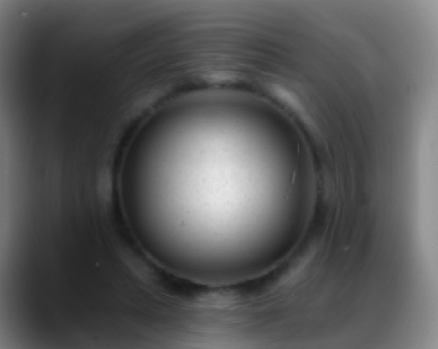 X0000088890447200706151832