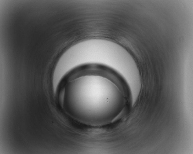 X0000088890448200706151832