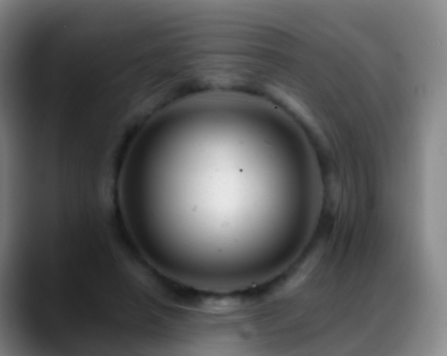 X0000088890450200706151832