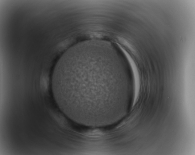 X0000088890451200706151832