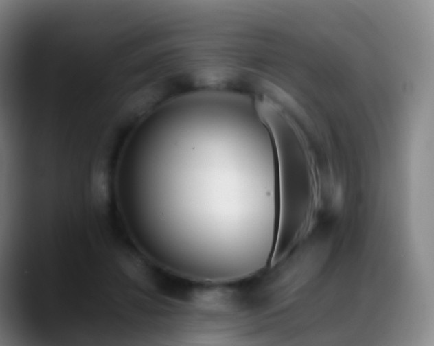 X0000088890452200706151832