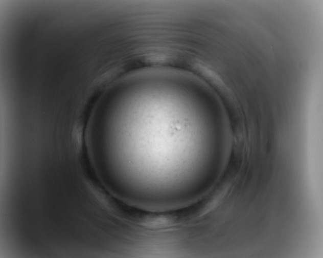 X0000088890454200706151832