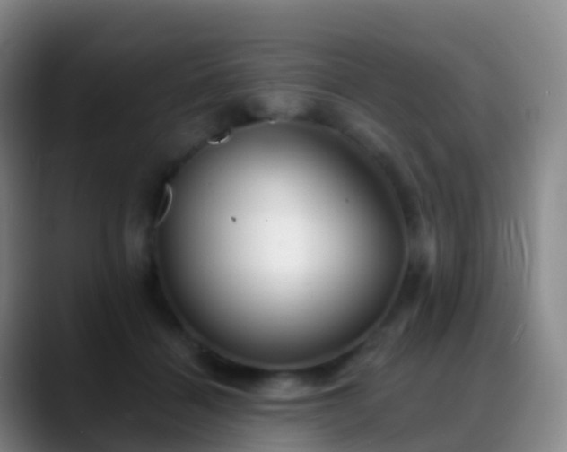 X0000088890460200706151833