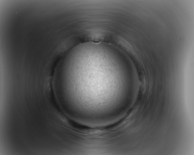 X0000088890462200706151833