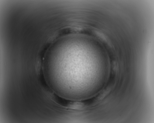 X0000088890463200706151833