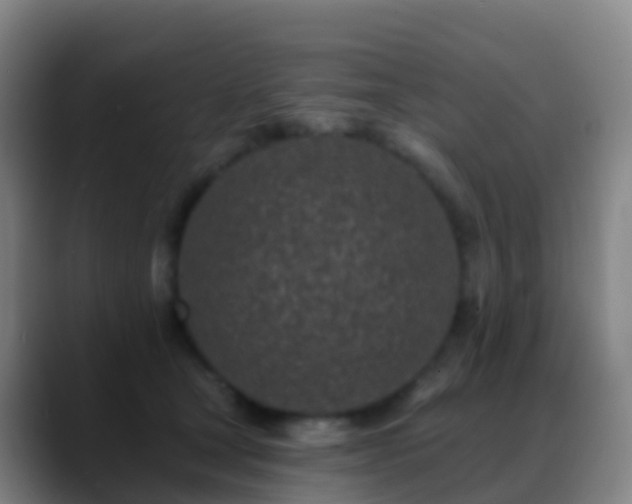 X0000088890465200706151833