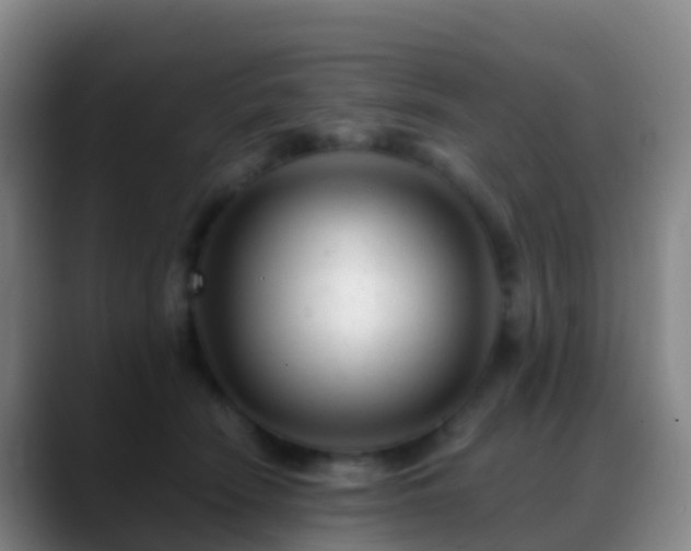 X0000088890466200706151833