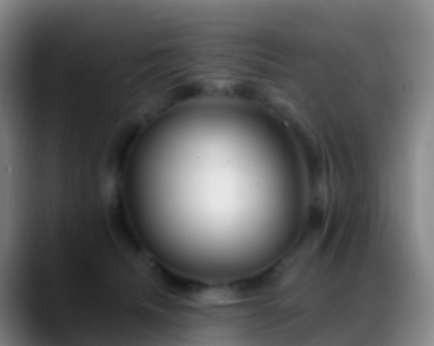 X0000088890468200706151833