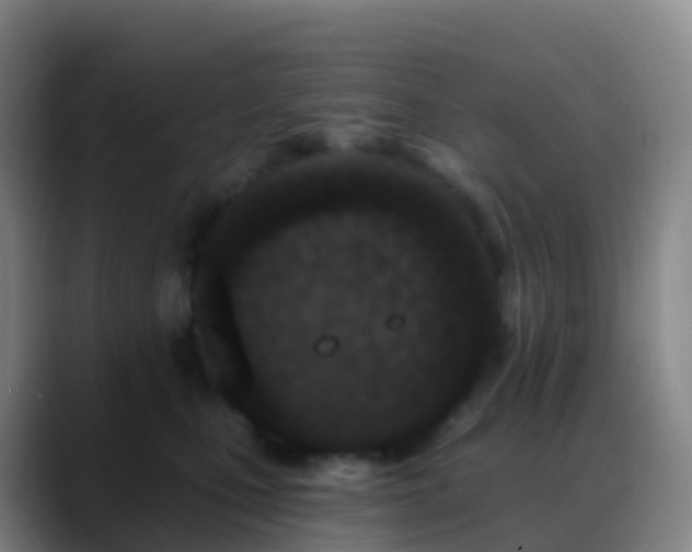 X0000088890471200706151833