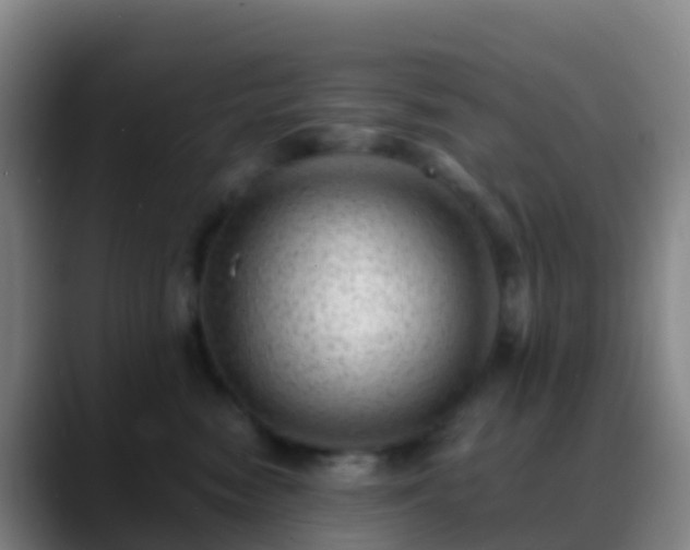 X0000088890474200706151833