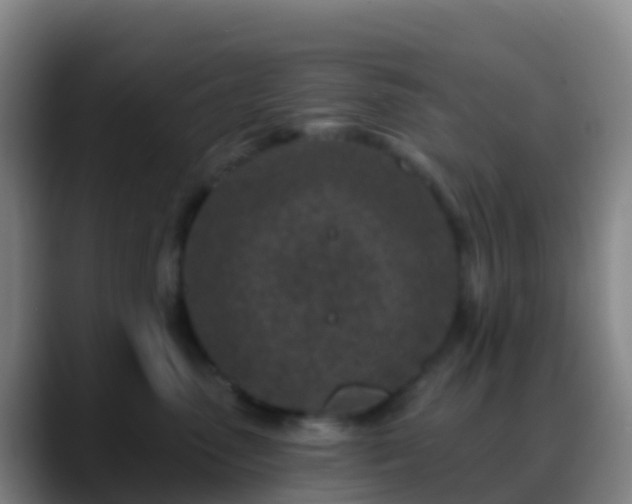 X0000088890475200706151833