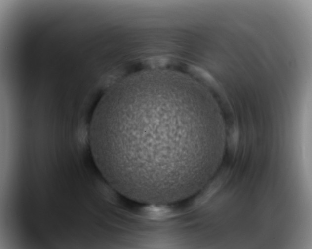 X0000088890477200706151833