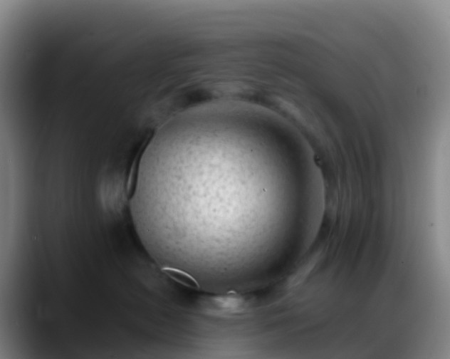 X0000088890478200706151833