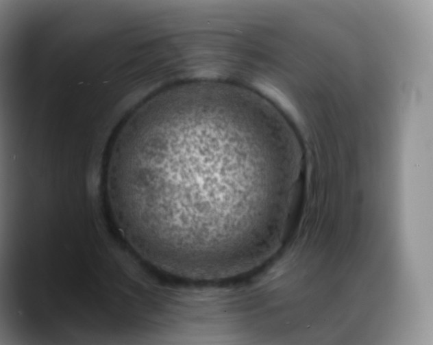 X0000088890483200706151832