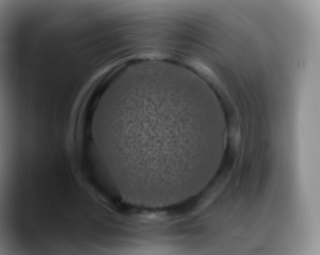 X0000088890484200706151832