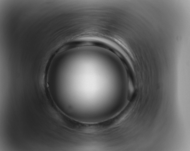 X0000088890485200706151832