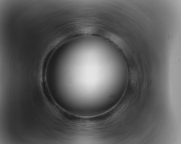 X0000088890486200706151832