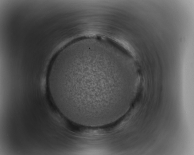 X0000088890488200706151832