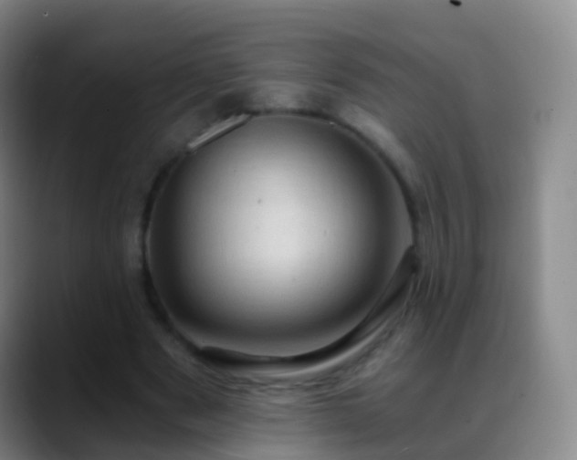 X0000088890489200706151832