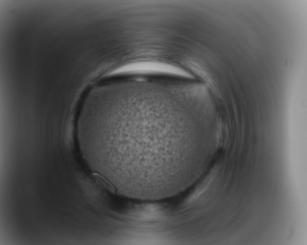 X0000088890492200706151832