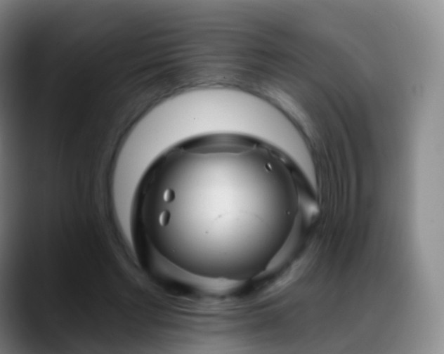 X0000088890493200706151832