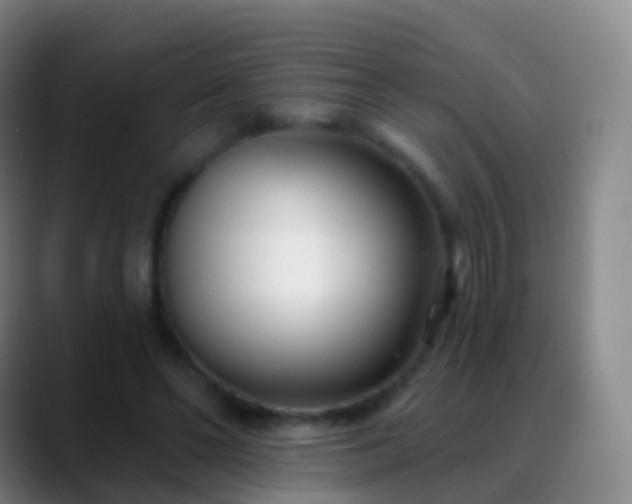 X0000088890494200706151832