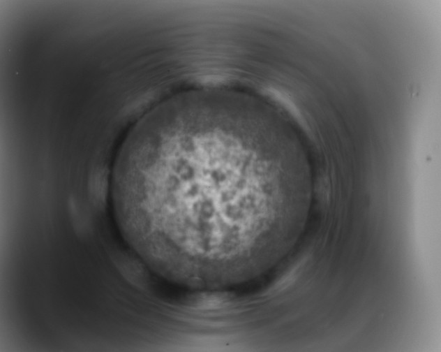 X0000088890495200706151832