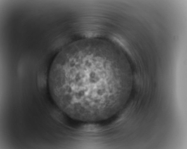 X0000088890499200706151832