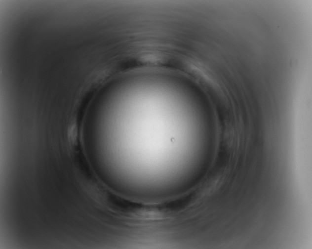 X0000088890502200706151832