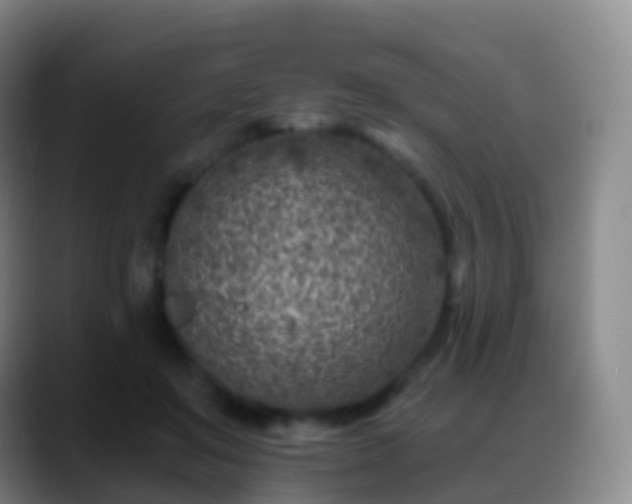 X0000088890503200706151832