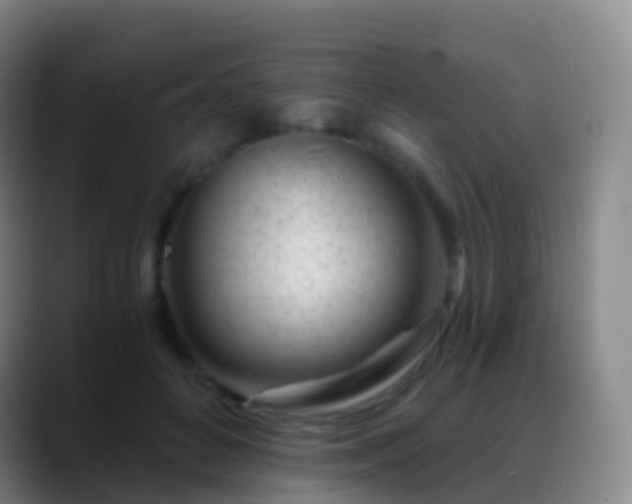 X0000088890504200706151832