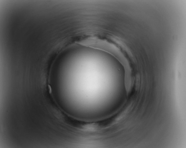 X0000088890505200706151832