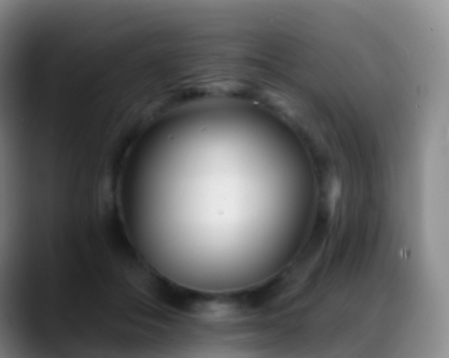 X0000088890506200706151832